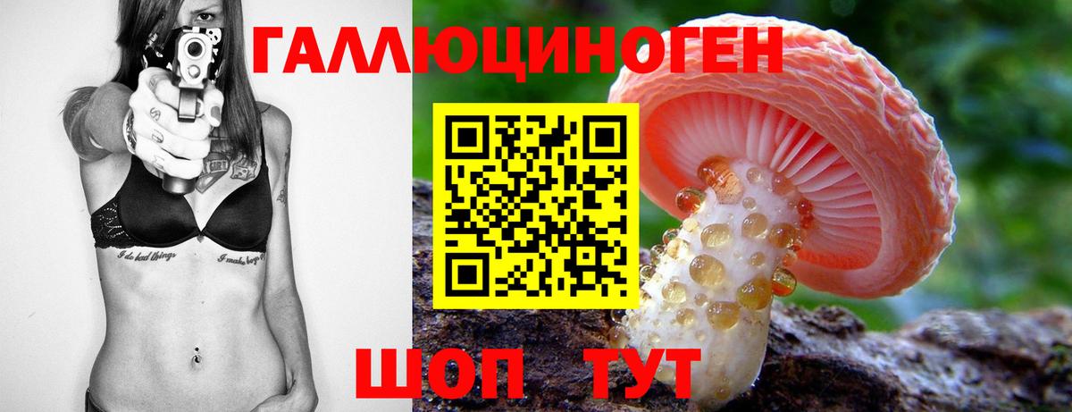 Псилоцибиновые грибы Psilocybe Энгельс